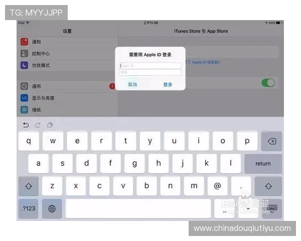 斗球体育app官方电脑版下载安装流程详解，帮助用户顺利完成软件安装与账号注册使用